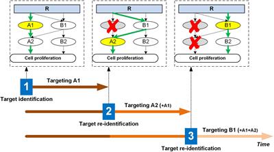 Dynamic Targeting in Cancer Treatment